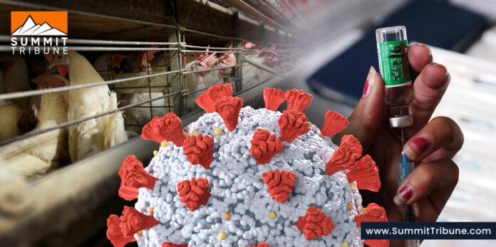 Moderna Secures $176 Million US Grant to Develop Bird Flu Vaccine Moderna Secures $176 Million US Grant to Develop Bird Flu Vaccine
