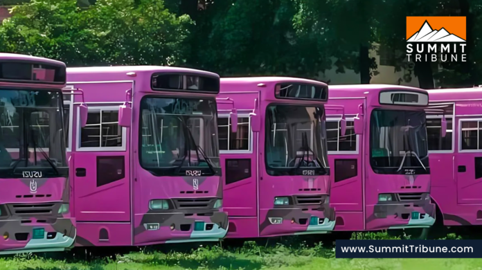 Islamabad Introduces Free Pink Bus Service for Women, Students, and Teachers Islamabad Introduces Free Pink Bus Service for Women, Students, and Teachers