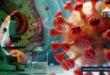 First Case of Clade 2 Mpox reported in Pakistan First Case of Clade 2 Mpox reported in Pakistan