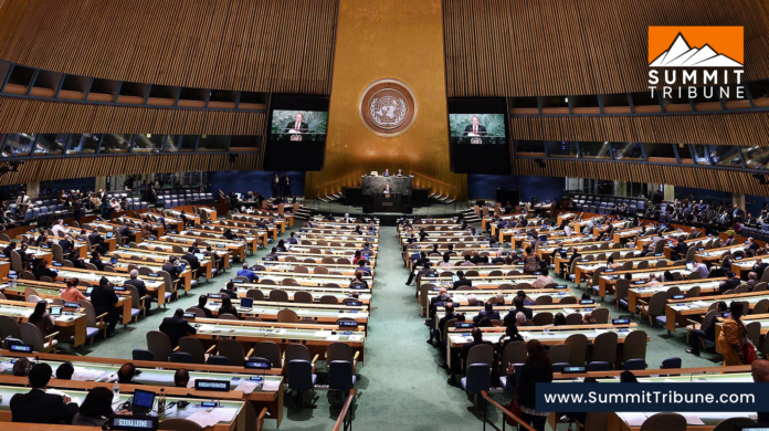 Pakistan to raise Palestine, Kashmir and Islamophobia issues at UNGA Pakistan to raise Palestine, Kashmir and Islamophobia issues at UNGA